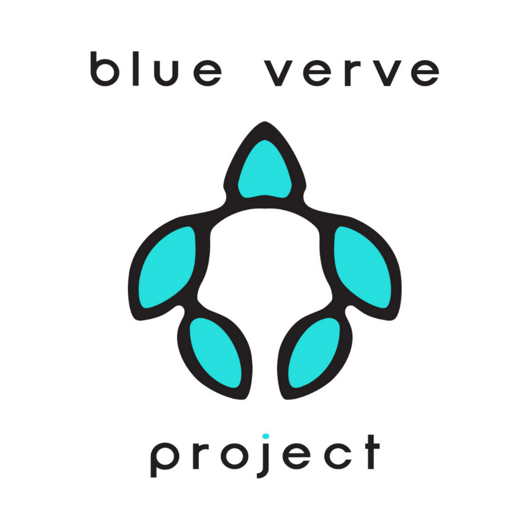 What is the Blue Verve Project? Learn About Sherpani's Sustainable Initiative