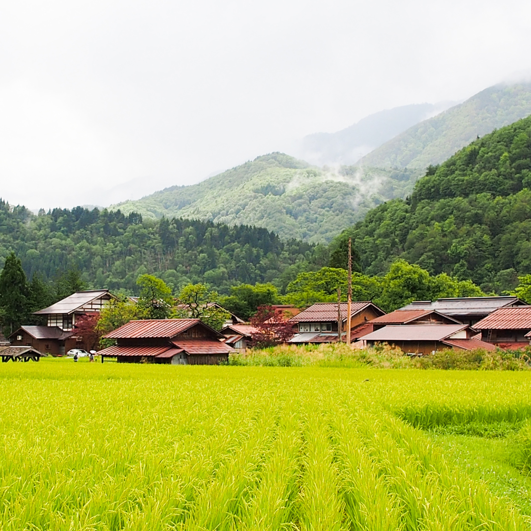 Landscape of rural Japan
