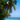 Sherpani Travel: Your Guide to the Best View in the Caribbean, Exploring Sint Maarten
