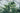 View from inside the Palm House at Copenhagen's Botanical Garden