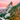 A Love Letter to Boulder, Colorado, Sherpani's Hometown