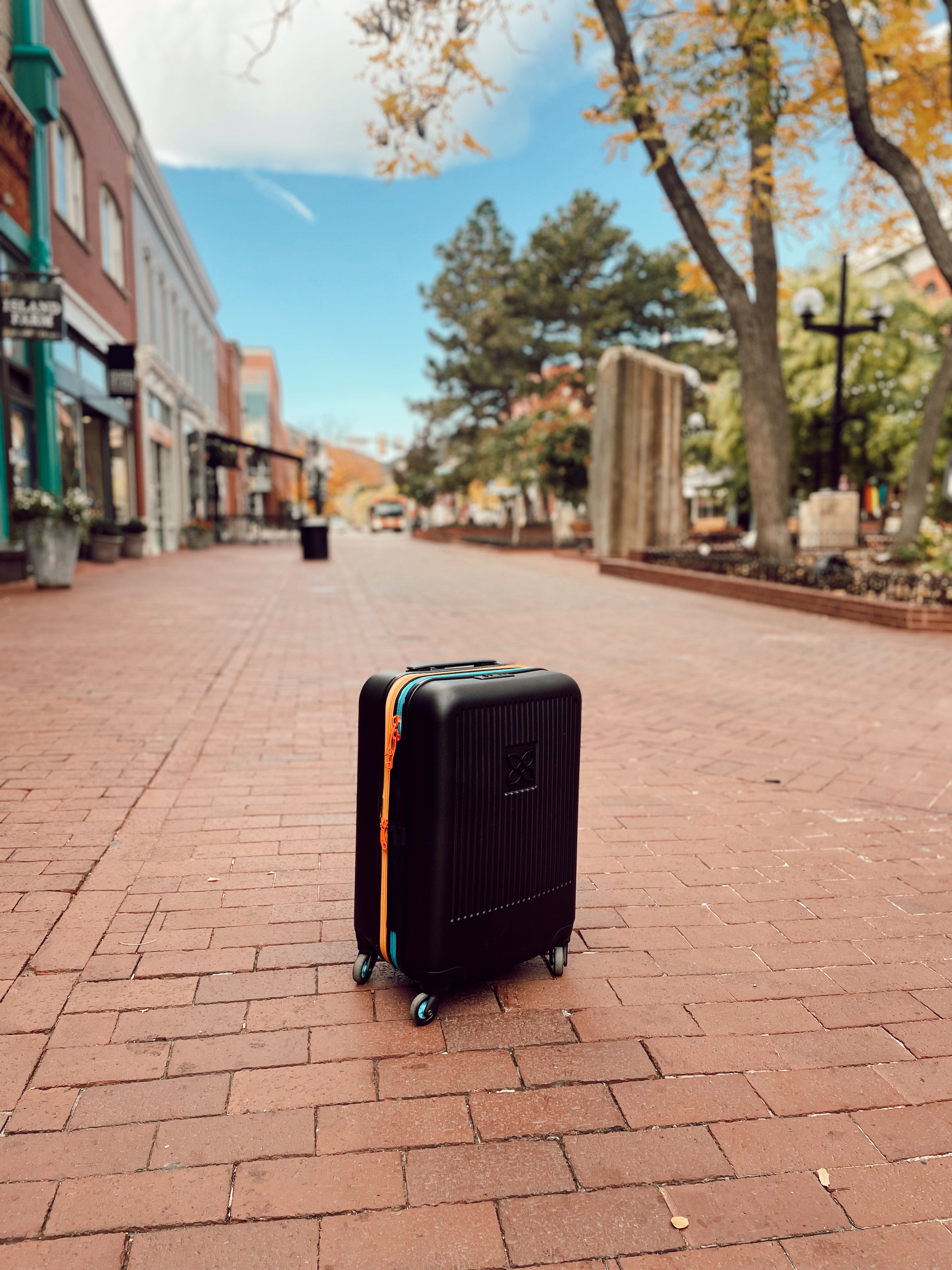 The Sherpani Meridian Hard-Sided Carry-On Suitcase