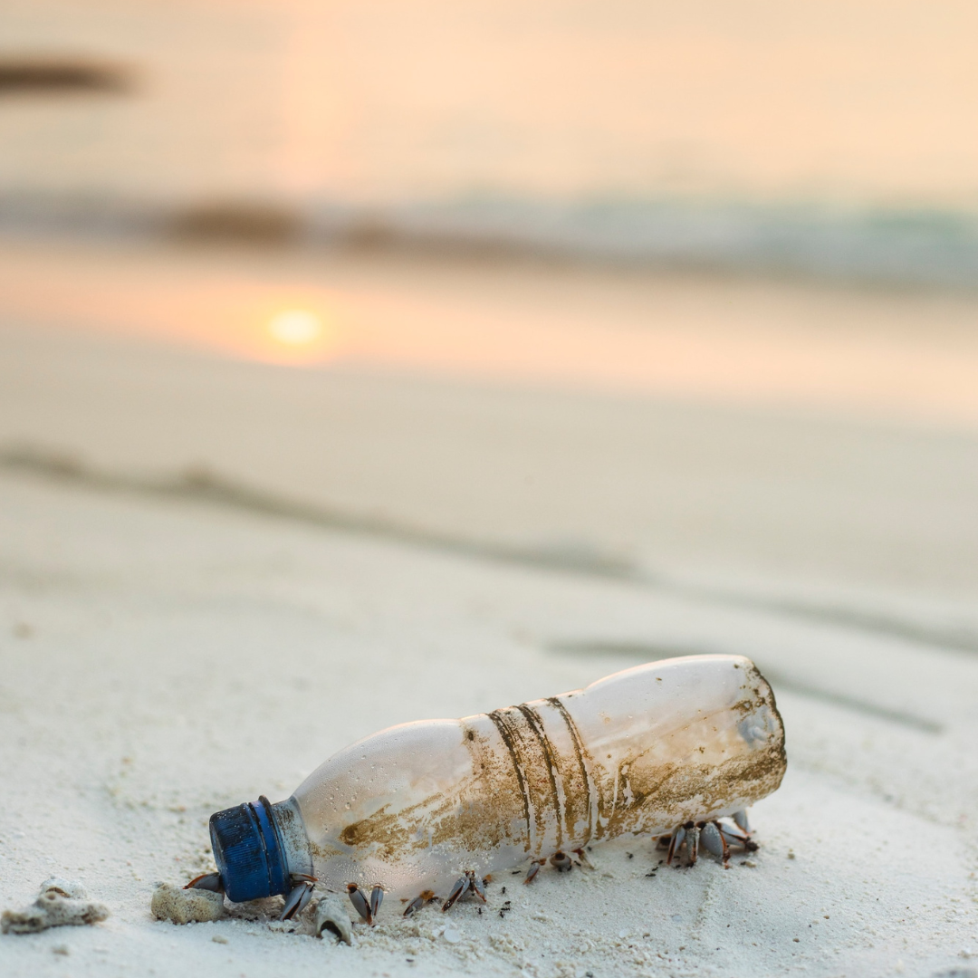 A plastic bottle lying on a white sand beach at sunset.