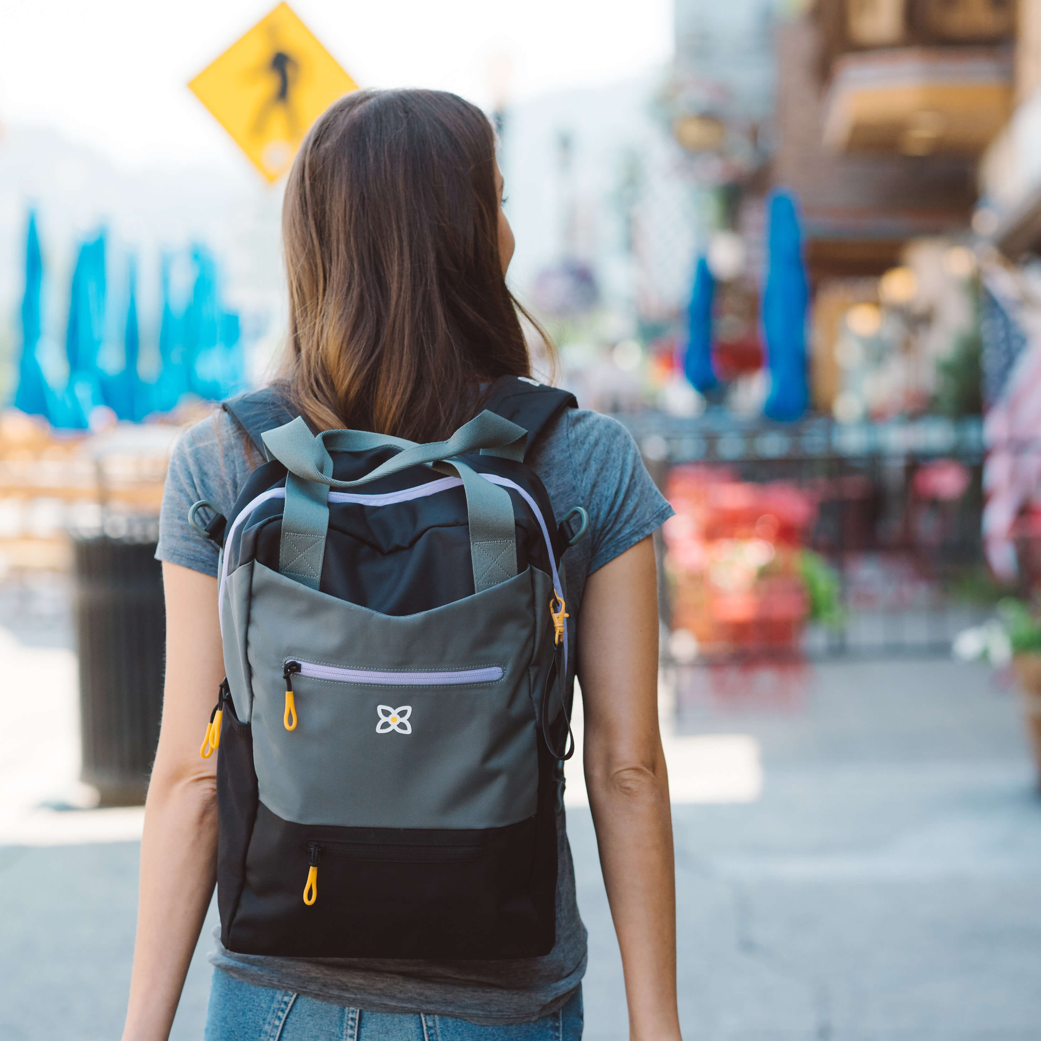 Sherpani camden backpack new arrivals